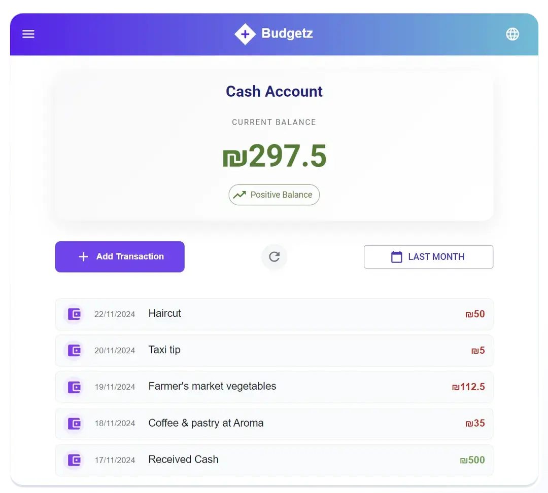 Budgetz App Page Demo